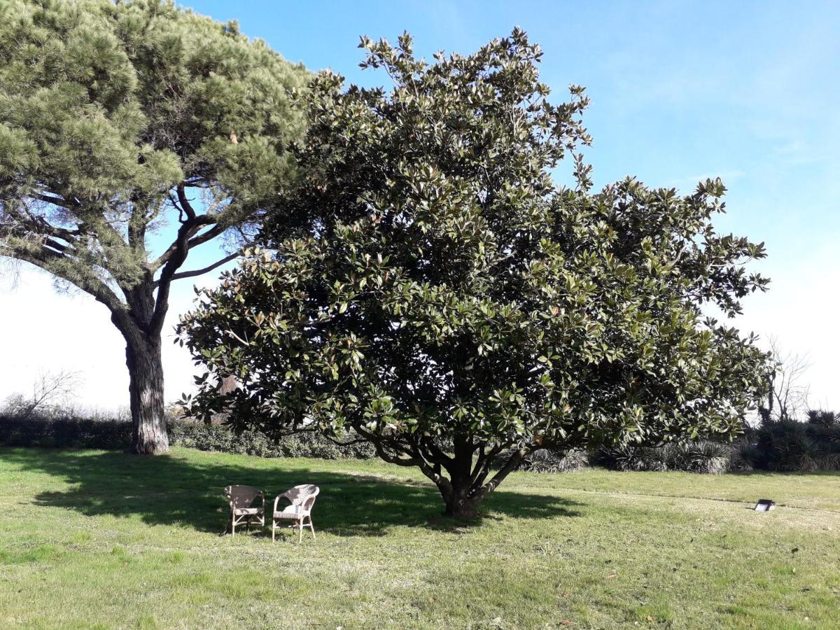 Antico Borgo Di Sutri Hotel Exterior photo